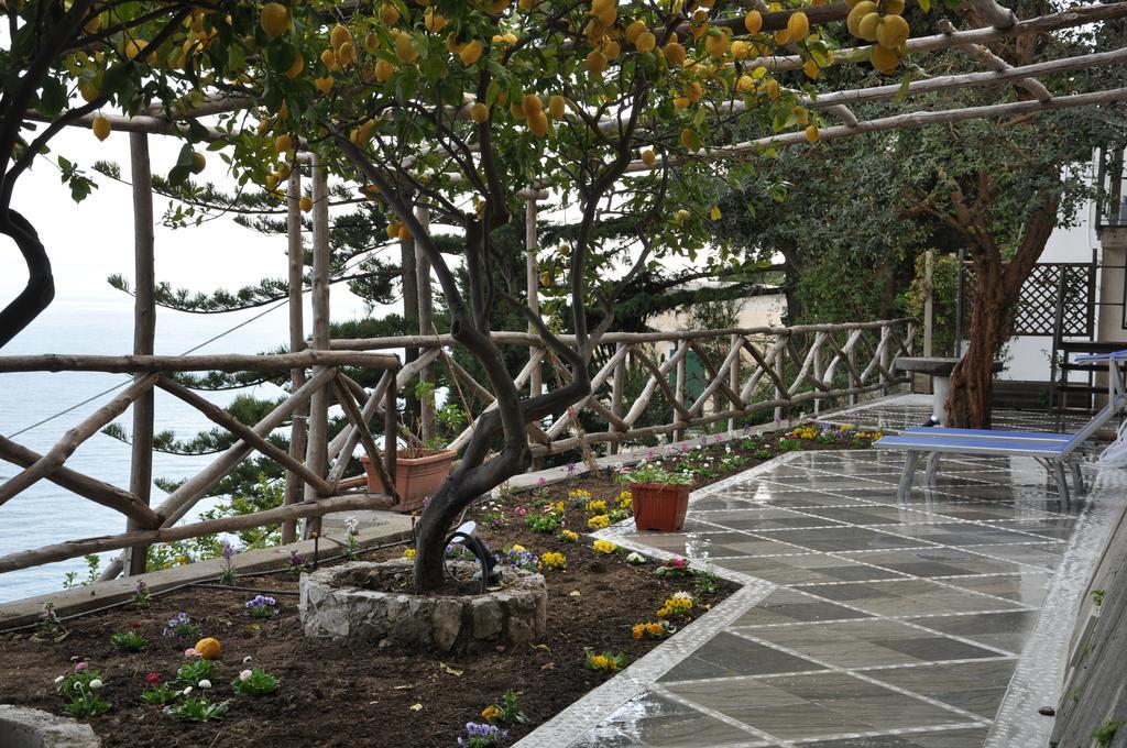 ラヴェッロ Il Monaco Amalfi Dreamsヴィラ 部屋 写真